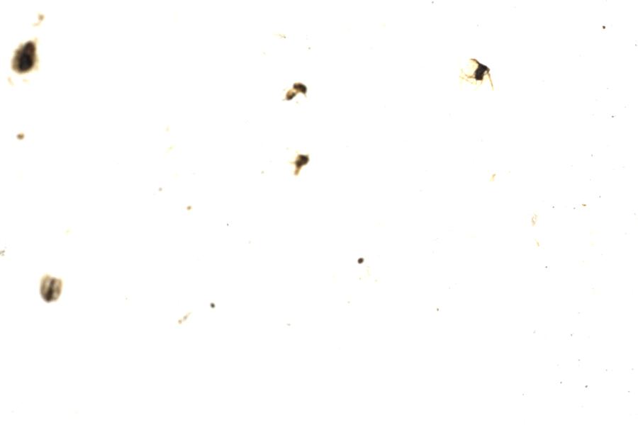 Image 182